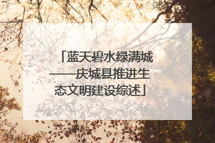 蓝天碧水绿满城——庆城县推进生态文明建设综述