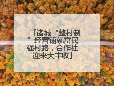 诸城“整村制”经营铺就富民强村路，合作社迎来大丰收