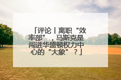 评论丨离职“效率部”，马斯克是闯进华盛顿权力中心的“大象”？