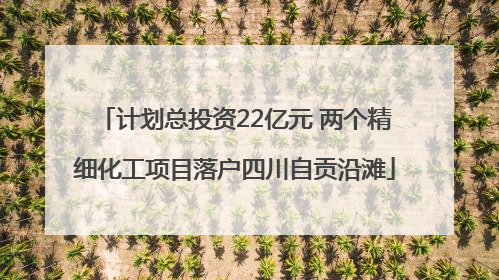 计划总投资22亿元 两个精细化工项目落户四川自贡沿滩