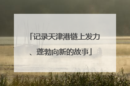 记录天津港链上发力、蓬勃向新的故事