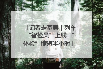 记者走基层｜列车“智检员”上线 “体检”缩短半小时