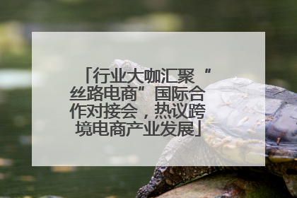 行业大咖汇聚“丝路电商”国际合作对接会，热议跨境电商产业发展