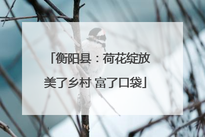 衡阳县：荷花绽放 美了乡村 富了口袋