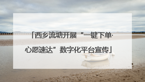 西乡流塘开展“一键下单·心愿速达”数字化平台宣传