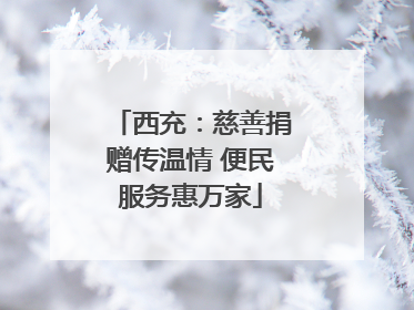 西充：慈善捐赠传温情 便民服务惠万家