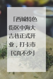 西城特色街区中海大吉巷正式开业，打卡市民真不少
