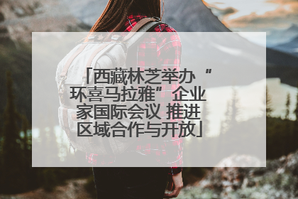 西藏林芝举办“环喜马拉雅”企业家国际会议 推进区域合作与开放