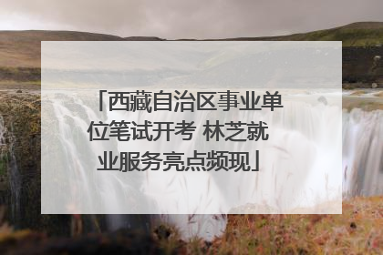 西藏自治区事业单位笔试开考 林芝就业服务亮点频现