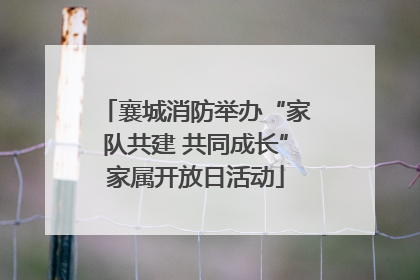 襄城消防举办“家队共建 共同成长”家属开放日活动