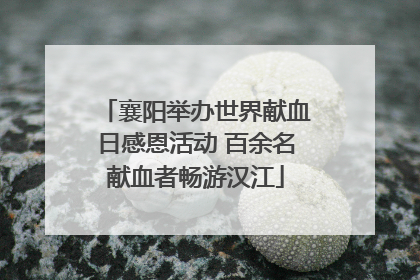 襄阳举办世界献血日感恩活动 百余名献血者畅游汉江