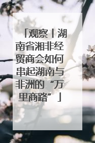 观察丨湖南省湘非经贸商会如何串起湖南与非洲的“万里商路”