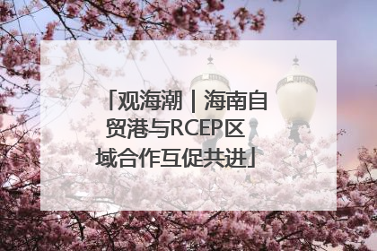 观海潮｜海南自贸港与RCEP区域合作互促共进