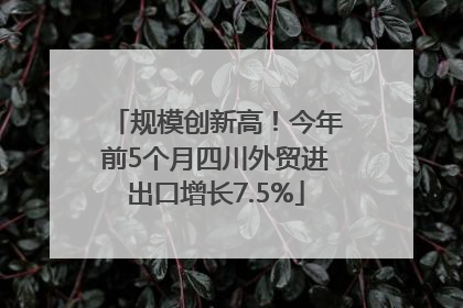 规模创新高！今年前5个月四川外贸进出口增长7.5%