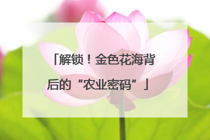解锁！金色花海背后的“农业密码”