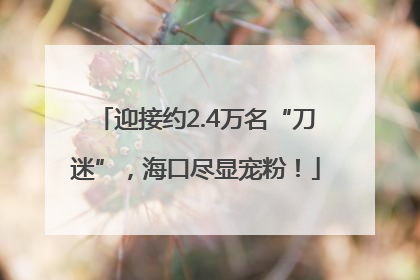 迎接约2.4万名“刀迷”，海口尽显宠粉！