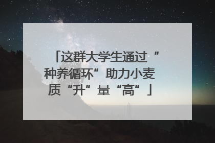 这群大学生通过“种养循环”助力小麦质“升”量“高”