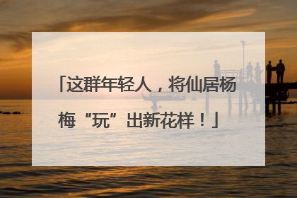 这群年轻人，将仙居杨梅“玩”出新花样！