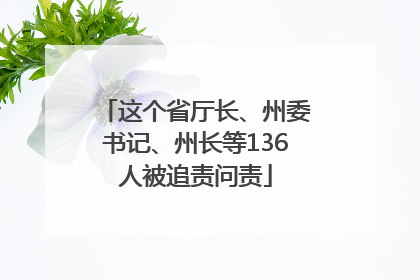 这个省厅长、州委书记、州长等136人被追责问责