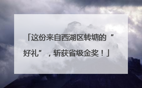 这份来自西湖区转塘的“好礼”，斩获省级金奖！