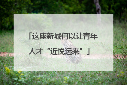 这座新城何以让青年人才“近悦远来”