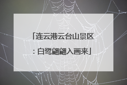 连云港云台山景区：白鹭翩翩入画来