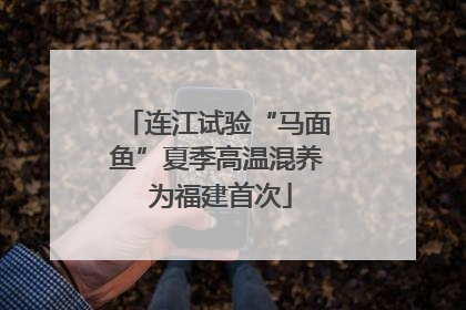 连江试验“马面鱼”夏季高温混养 为福建首次