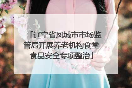 辽宁省凤城市市场监管局开展养老机构食堂食品安全专项整治