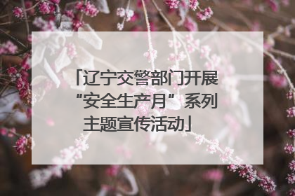 辽宁交警部门开展“安全生产月”系列主题宣传活动