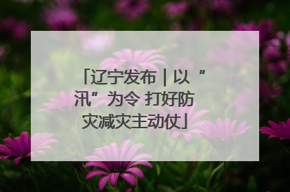 辽宁发布｜以“汛”为令 打好防灾减灾主动仗