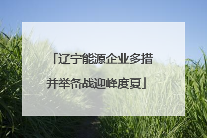 辽宁能源企业多措并举备战迎峰度夏