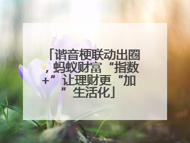 谐音梗联动出圈，蚂蚁财富“指数+”让理财更“加”生活化
