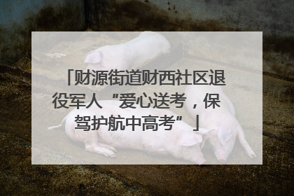 财源街道财西社区退役军人“爱心送考，保驾护航中高考”