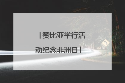 赞比亚举行活动纪念非洲日