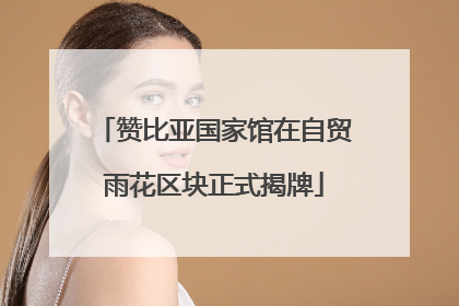 赞比亚国家馆在自贸雨花区块正式揭牌
