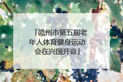 赣州市第五届老年人体育健身运动会在兴国开幕