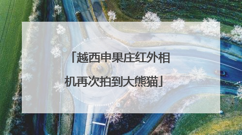 越西申果庄红外相机再次拍到大熊猫