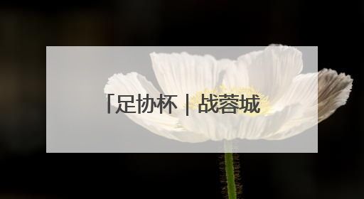 足协杯｜战蓉城泰山来到十字路口，不管输赢，新老交替势在必行