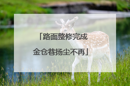 路面整修完成 金仓巷扬尘不再