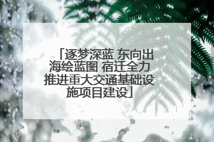 逐梦深蓝 东向出海绘蓝图 宿迁全力推进重大交通基础设施项目建设