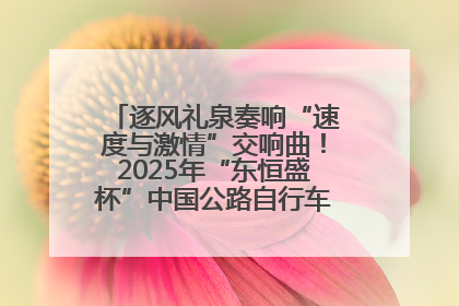 逐风礼泉奏响“速度与激情”交响曲！2025年“东恒盛杯”中国公路自行车联赛第五站（陕西·礼泉站）正式开赛