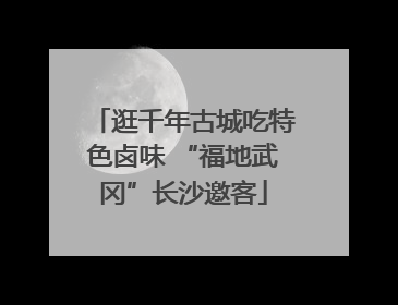 逛千年古城吃特色卤味 “福地武冈”长沙邀客