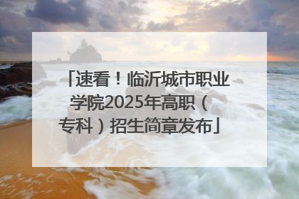 速看！临沂城市职业学院2025年高职（专科）招生简章发布
