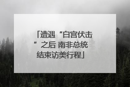 遭遇“白宫伏击”之后 南非总统结束访美行程