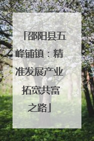 邵阳县五峰铺镇：精准发展产业 拓宽共富之路