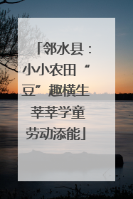 邻水县：小小农田“豆”趣横生 莘莘学童劳动添能