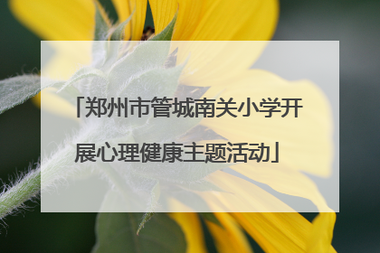 郑州市管城南关小学开展心理健康主题活动