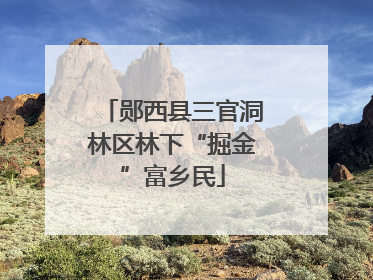 郧西县三官洞林区林下“掘金”富乡民