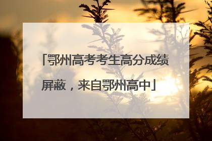 鄂州高考考生高分成绩屏蔽，来自鄂州高中