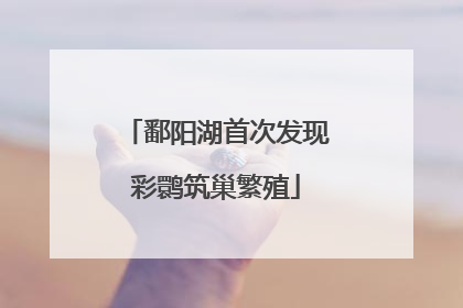鄱阳湖首次发现彩鹮筑巢繁殖